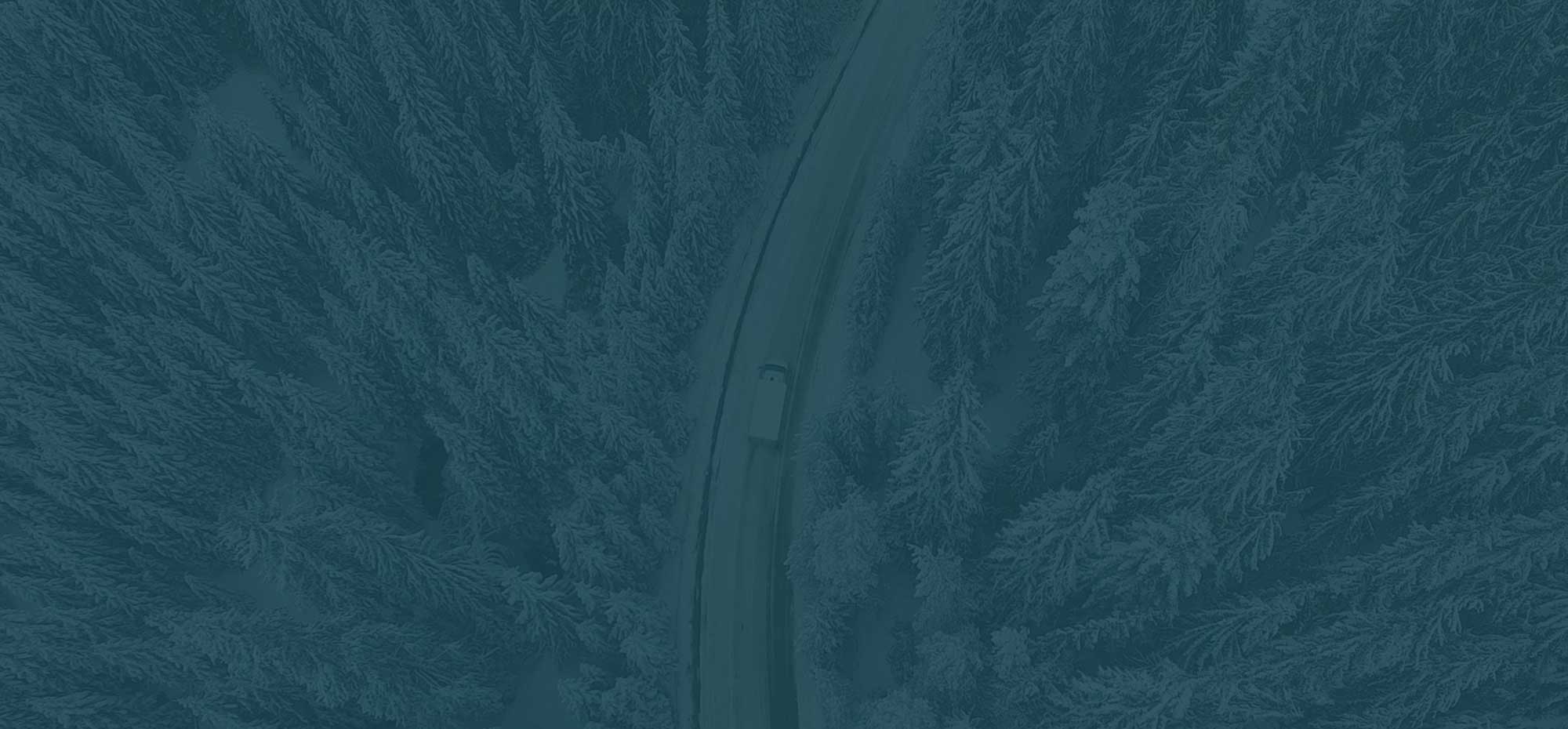 Top 5 reasons why your company needs ice cleats